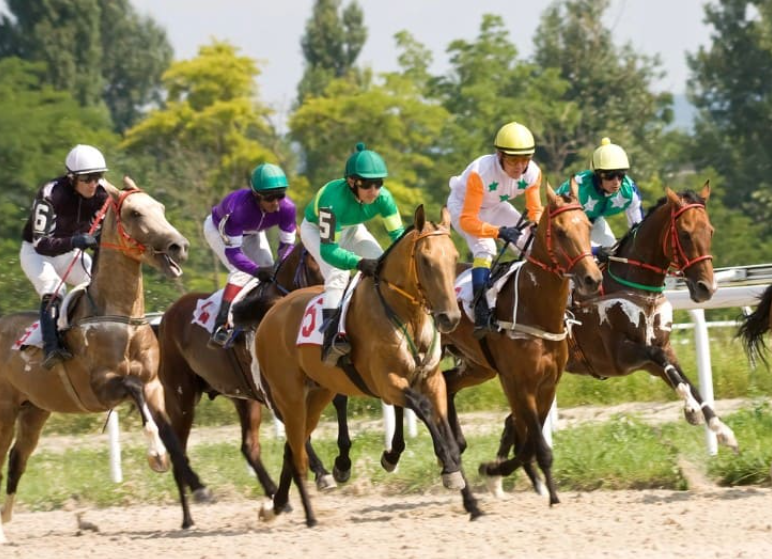 How the Breeding Industry Impacts Horse Racing