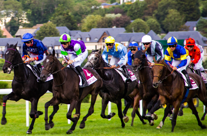 How to Get Started in Horse Racing Betting