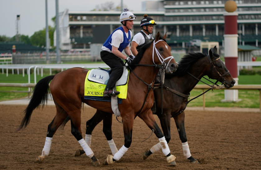 How to Pick the Right Horse for Your Bet