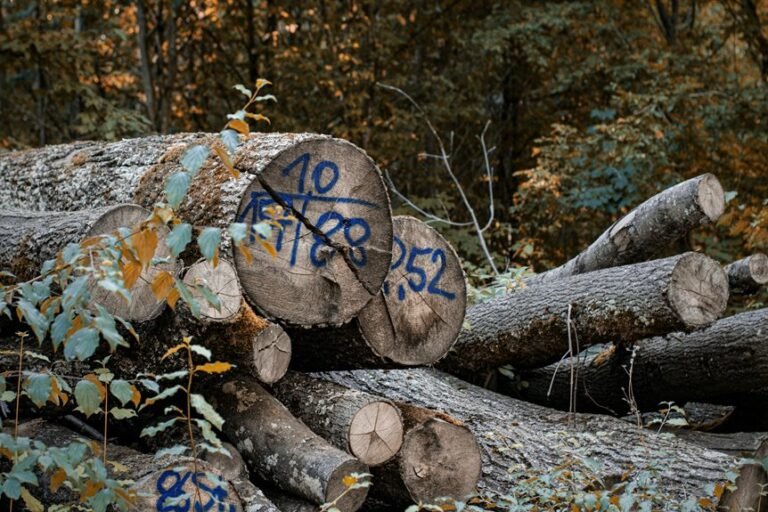 structured security log numbers listed