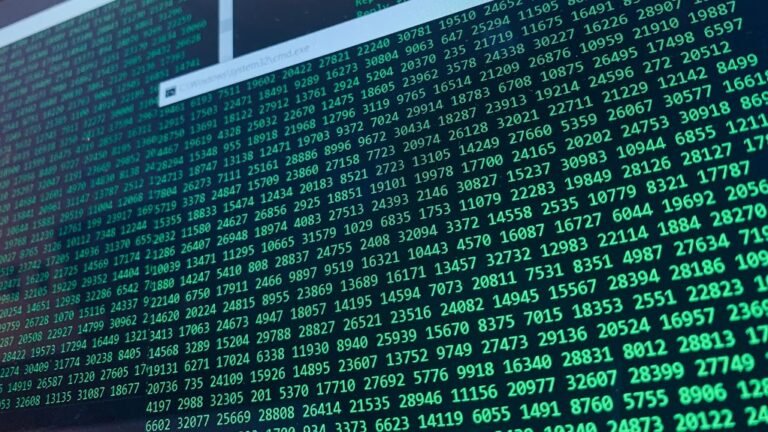 random numeric identifiers revealed