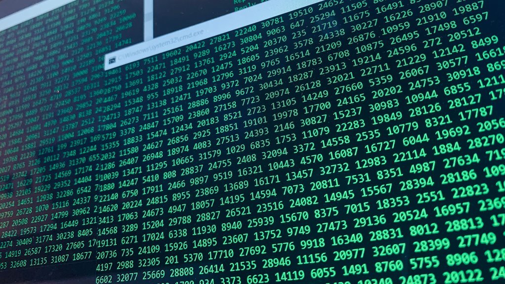 random numeric identifiers revealed